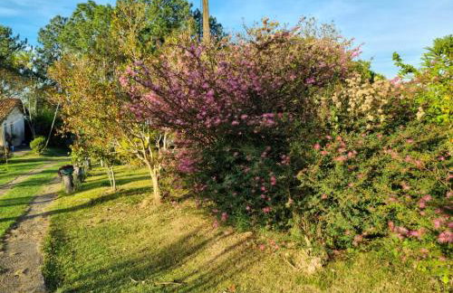 Chácara Áquila - Foto 55