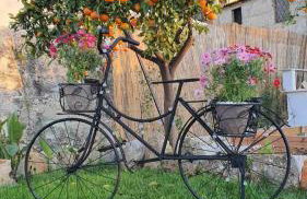 Villa Anasa Residence - Foto 21