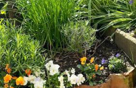 The Bakehouse - Foto 45