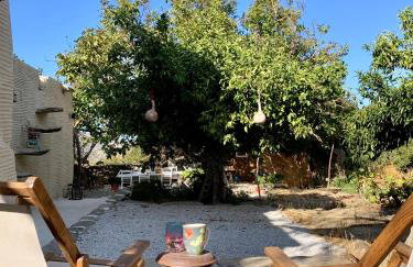 Παραδοσιακός πέτρινος ξενώνας σε φάρμα - Foto 9