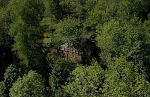 Lodge en pleine foret domaniale - Foto 6