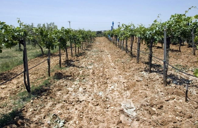 Agriturismo Carbona - Foto 23