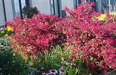 Agriturismo PIAN DEL GRANO Azienda agricola - Foto 10