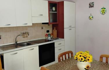 L'albero di limoni sul mare di Pizzo - Photo 61