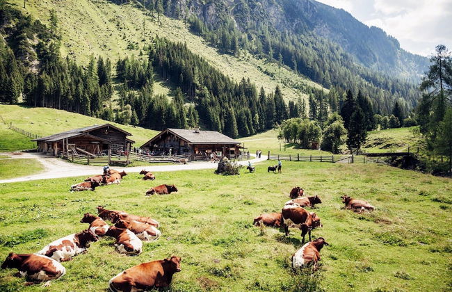 Chalet in Neukirchen by Wildkogel Ski Slopes - Photo 22