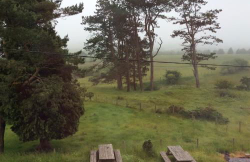 Private Pub-Group Stays Brecon Beacons Alderfalls - Photo 73