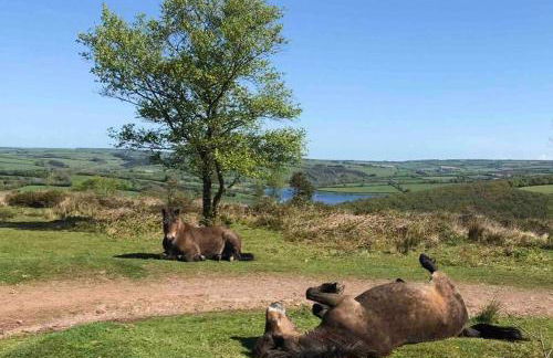 Sausage Cottage in Oakford Village 4 Bed Garden Local Pub - Foto 12