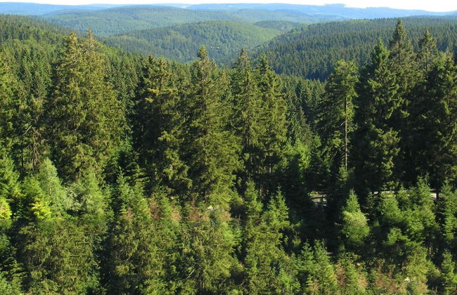 Einladende Ferienwohnung mit Garten - Foto 21