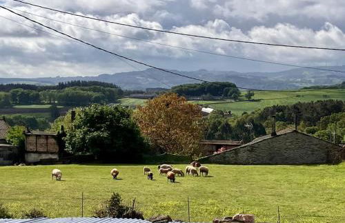 Casa da Forxa, renovated former forge/ smithy - Foto 28