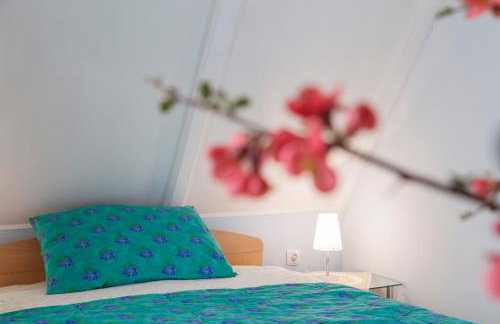 Pension Kezele - Foto 66