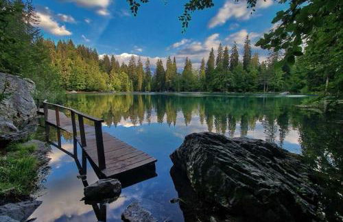 Fizhome Mt Blanc - Photo 53