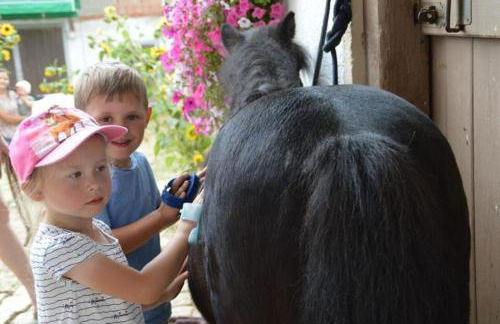 Ferienhof Altmann - Foto 41