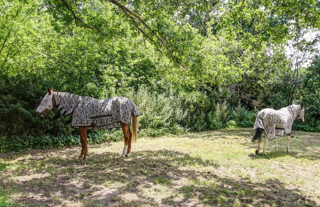 Holiday Home in a Park in Raizeux With Terrace - Foto 19