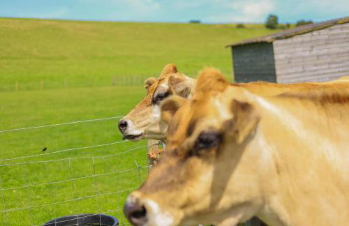 3 Bed in Whitwell oc-h33498 - Foto 31