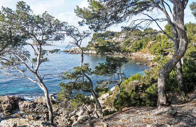 La Calanque d'Or - Foto 22