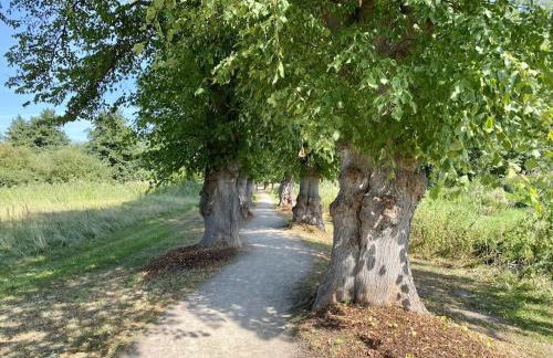 Holiday home in Warin with swimming pool - Foto 26