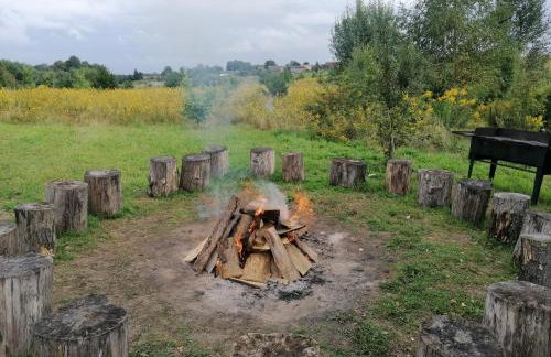 Mazurska Knieja - Foto 47