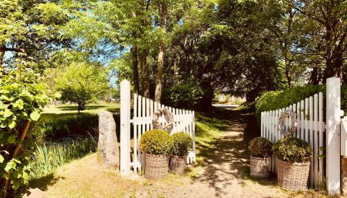 Landhaus Börmoos - Foto 5