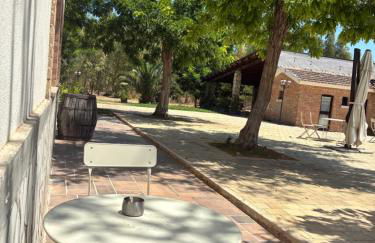 Bosco Elda - Foto 30