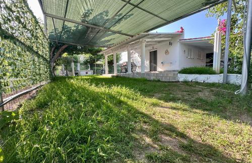 Hermes Grove - Foto 4