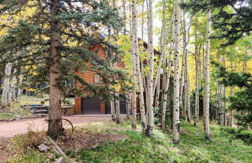 Pikes Peak Retreat - Foto 51