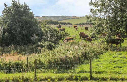 Freeborough - Foto 21