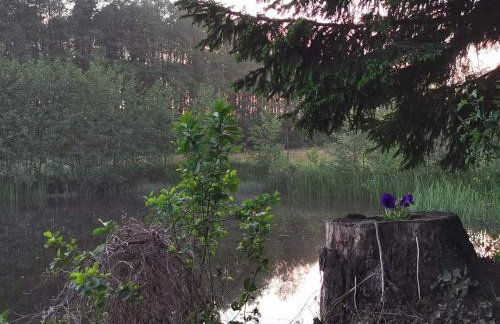 Agroturystyka Pasynki 44 - Foto 18