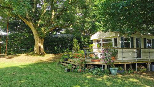 Doughery Den The Dark Hedges Hideaway - Foto 3, Garden, Garden view