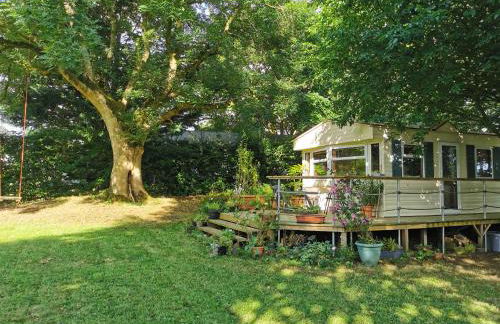 Doughery Den The Dark Hedges Hideaway - Foto 3
