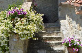 Bellavista - Foto 58