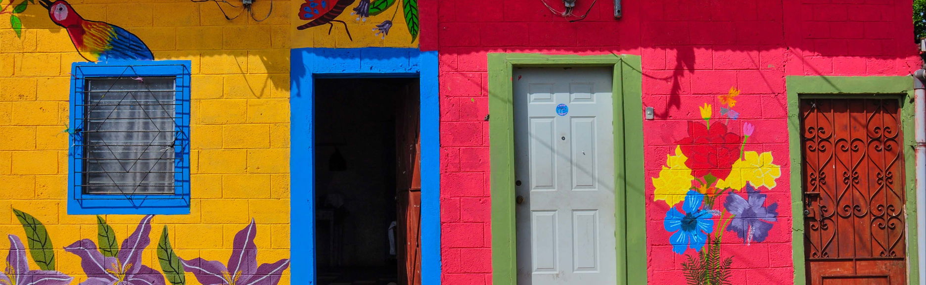 Excursion sur la Route des Fleurs + Expérience de street food