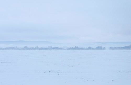 Pension Sebert - Foto 31