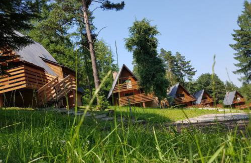 Ośrodek Wczasów Zdrowotnych Rudawka Rymanowska - Foto 1