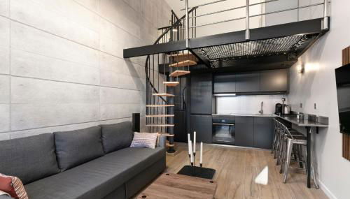 Loft Industriel avec Terrasse et Filet Suspendu à Nice Cimiez - Foto 2