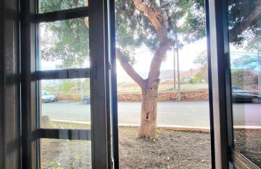 Casa emblematica Miranda con Jardín interior canario - Foto 33