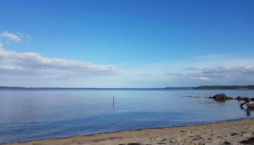 Ostsehbutzen - Foto 5