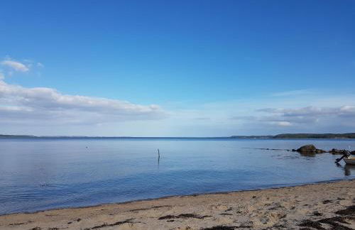 Ostsehbutzen - Foto 5