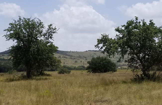 Waylon In The Hill Country - Hacienda Amor - Foto 35