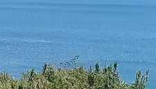 Paradise House - Foto 4