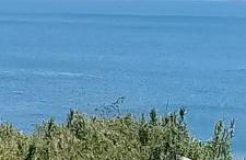 Paradise House - Foto 4