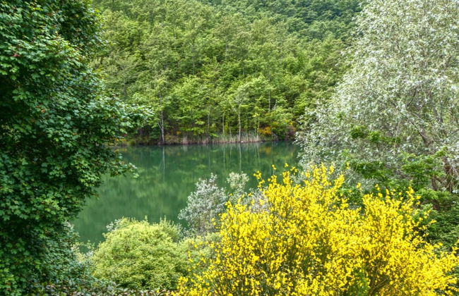 Holiday House with Pool & Large Garden Overlooking Lake near Tuscany - Photo 39