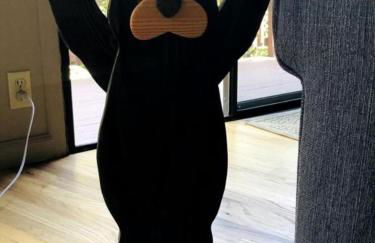 Cabin Getaway near to Pine, Arizona that is Perfect for a Family Vacation - Foto 31