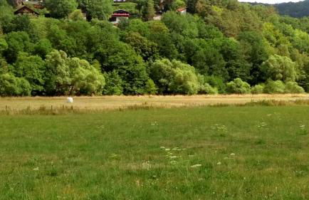 Ferienhaus im Ederbergland - Foto 32