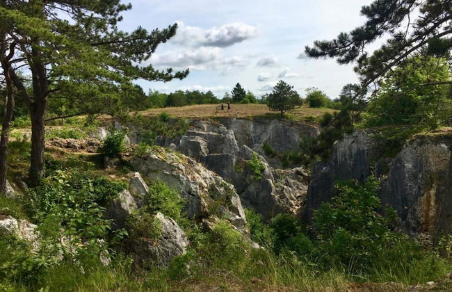 Peaceful Garden Hideaway - Foto 26