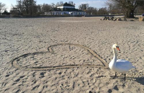 FEWO "Hafenblick" - Foto 62