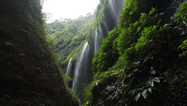 Private Day Trip to Mt. Bromo + Madakaripura Waterfall - Foto 4