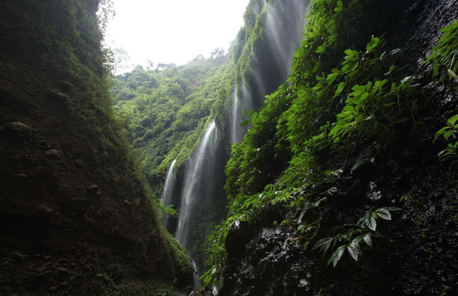 Escursione privata al Monte Bromo all'alba + Cascate Madakaripura - Foto 8
