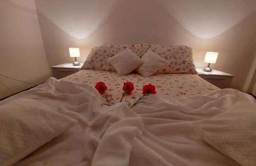 Apartments Karadza - Foto 23