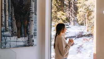 Haute Haus Aframe in Alma Colorado - Foto 4