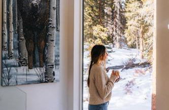 Haute Haus Aframe in Alma Colorado - Foto 4